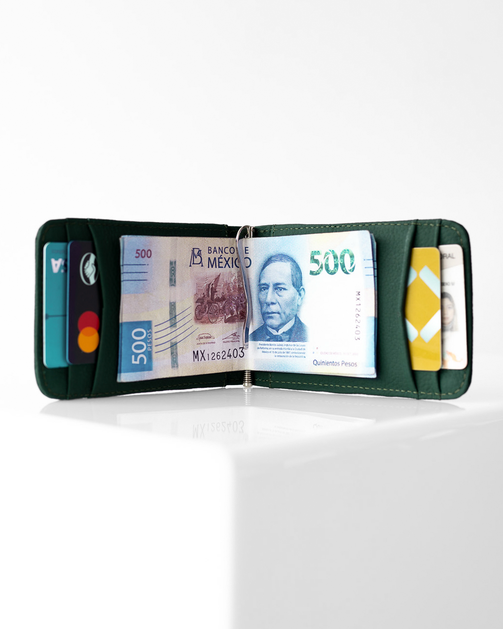 Cartera Mérida • Verde Bosque